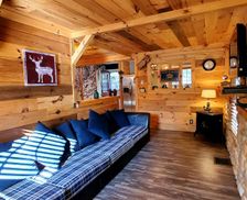 United States New York Old Forge vacation rental compare prices direct by owner 24069840