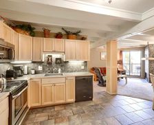 United States Colorado Silverthorne vacation rental compare prices direct by owner 10541999