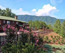 United States Tennessee Townsend vacation rental compare prices direct by owner 525929