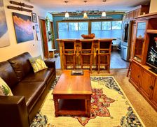 United States Colorado Silver Plume vacation rental compare prices direct by owner 29723641