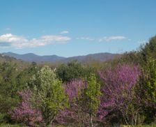 United States North Carolina Weaverville vacation rental compare prices direct by owner 813648