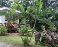 Costa Rica Provincia de Puntarenas Osa vacation rental compare prices direct by owner 28040428