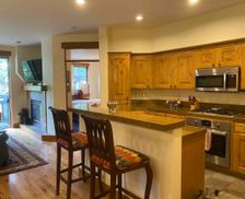 United States Idaho Ketchum vacation rental compare prices direct by owner 364039