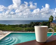 Bonaire Sint Eustatius and Saba Bonaire Kralendijk vacation rental compare prices direct by owner 28842730