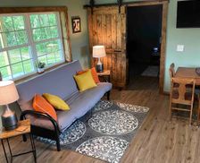 United States New York Beaver Dams vacation rental compare prices direct by owner 11468955