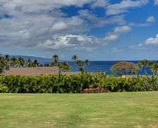 United States Hawaii Wailea vacation rental compare prices direct by owner 55606