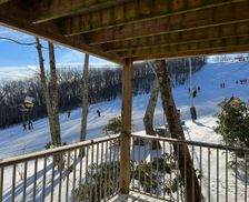United States Virginia Wintergreen Resort vacation rental compare prices direct by owner 968832