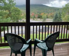 United States New York Lanesville vacation rental compare prices direct by owner 12520199
