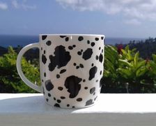 Dominica Marigot Saint Andrew's Parish Weirs vacation rental compare prices direct by owner 13864340