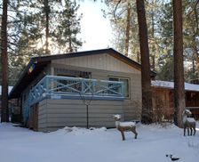 United States California Wrightwood vacation rental compare prices direct by owner 25362961