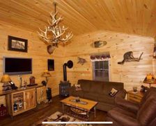 United States New York Old Forge vacation rental compare prices direct by owner 4461097