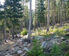 United States Colorado Evergreen vacation rental compare prices direct by owner 1349777