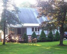 United States New York Old Forge vacation rental compare prices direct by owner 807706