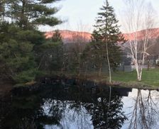 United States New Hampshire Woodstock vacation rental compare prices direct by owner 13084943