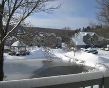 United States New York Ellicottville vacation rental compare prices direct by owner 295132