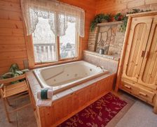 United States Tennessee Gatlinburg vacation rental compare prices direct by owner 2567425