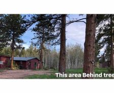 United States Colorado Red Feather Lakes vacation rental compare prices direct by owner 24368717