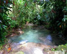 Jamaica Portland Parish Long Road, Jamaica vacation rental compare prices direct by owner 2892585