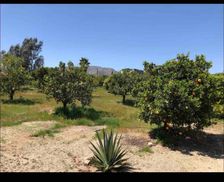 Mexico Baja California Guadalupe vacation rental compare prices direct by owner 11356612