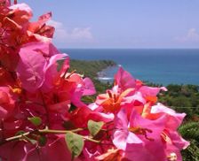 Puerto Rico  Yabucoa vacation rental compare prices direct by owner 3211286