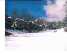 United States Virginia Wintergreen Resort vacation rental compare prices direct by owner 1130601