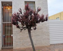 Argentina  San Luis vacation rental compare prices direct by owner 3528042