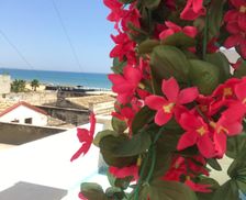 Italy Sicilia Pozzallo vacation rental compare prices direct by owner 5417584