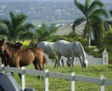 Barbados St. Thomas Parish of vacation rental compare prices direct by owner 3624404