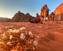 Jordan  Wadi Rum Village vacation rental compare prices direct by owner 13563108
