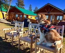 United States Alaska Clam Gulch vacation rental compare prices direct by owner 8309566