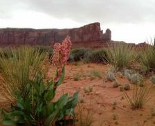 United States Arizona Oljato-Monument Valley vacation rental compare prices direct by owner 326754