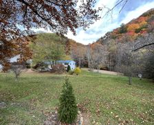 United States Tennessee Roan Mountain vacation rental compare prices direct by owner 2549373