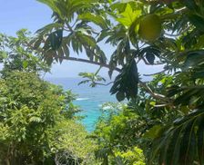 Jamaica  portland vacation rental compare prices direct by owner 13886827