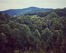 United States Tennessee Roan Mountain vacation rental compare prices direct by owner 2865134