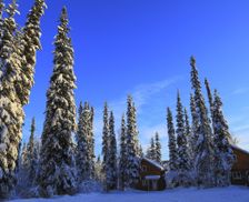 United States Alaska FAIRBANKS vacation rental compare prices direct by owner 2948235