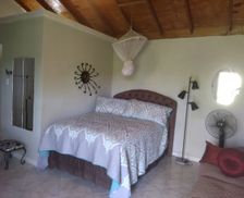 Jamaica Hanover Parish Green Island vacation rental compare prices direct by owner 13543839