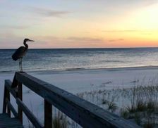 United States Florida Pensacola vacation rental compare prices direct by owner 27270375