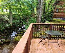 United States Tennessee Cosby vacation rental compare prices direct by owner 28054093