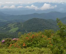 United States Tennessee Roan Mountain vacation rental compare prices direct by owner 1072234