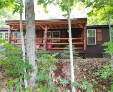 United States New York Old Forge vacation rental compare prices direct by owner 271948