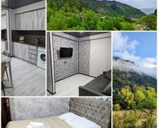 Georgia Samtskhe-Javakheti Borzhomi vacation rental compare prices direct by owner 26924413