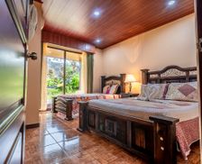 Costa Rica Provincia de Alajuela La Fortuna vacation rental compare prices direct by owner 3316617