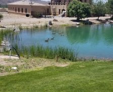 United States New Mexico Elephant Butte vacation rental compare prices direct by owner 955857