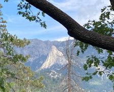 United States California Idyllwild-Pine Cove vacation rental compare prices direct by owner 409462