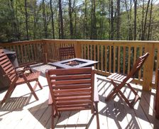 United States North Carolina Hendersonville vacation rental compare prices direct by owner 246404