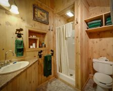 United States Montana Cooke City-Silver Gate vacation rental compare prices direct by owner 287408