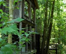 United States North Carolina Asheville vacation rental compare prices direct by owner 357229