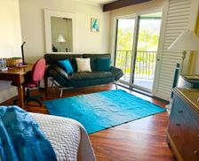 United States Hawaii Lihue vacation rental compare prices direct by owner 34376614