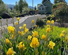 United States Washington Cathlamet vacation rental compare prices direct by owner 33133261