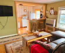 United States New York Old Forge vacation rental compare prices direct by owner 24524606